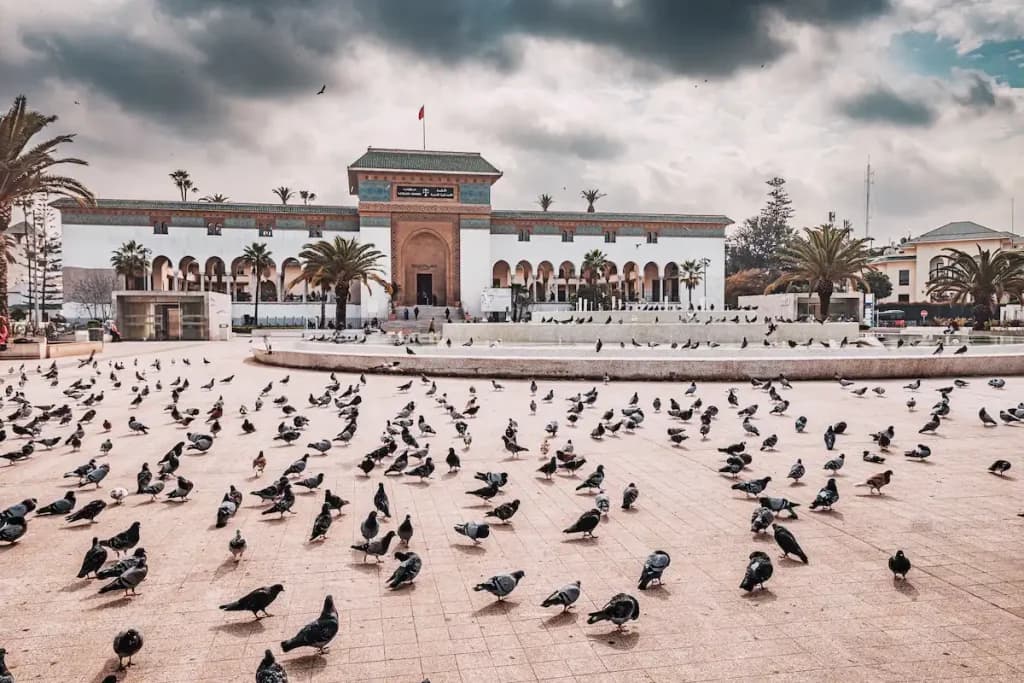 Casablanca 4